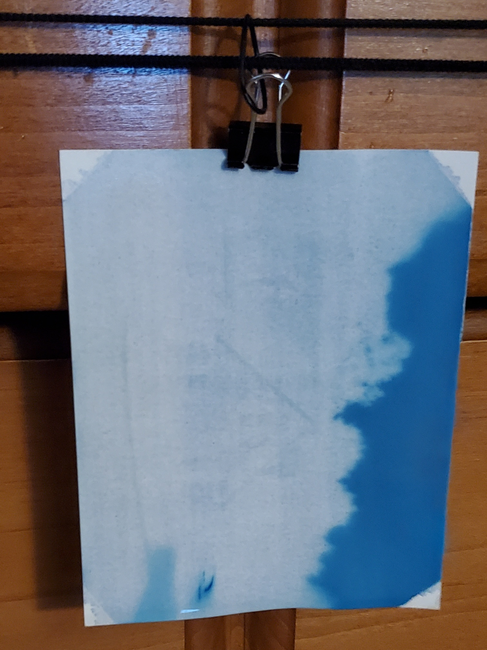 Cyanotype film drying.